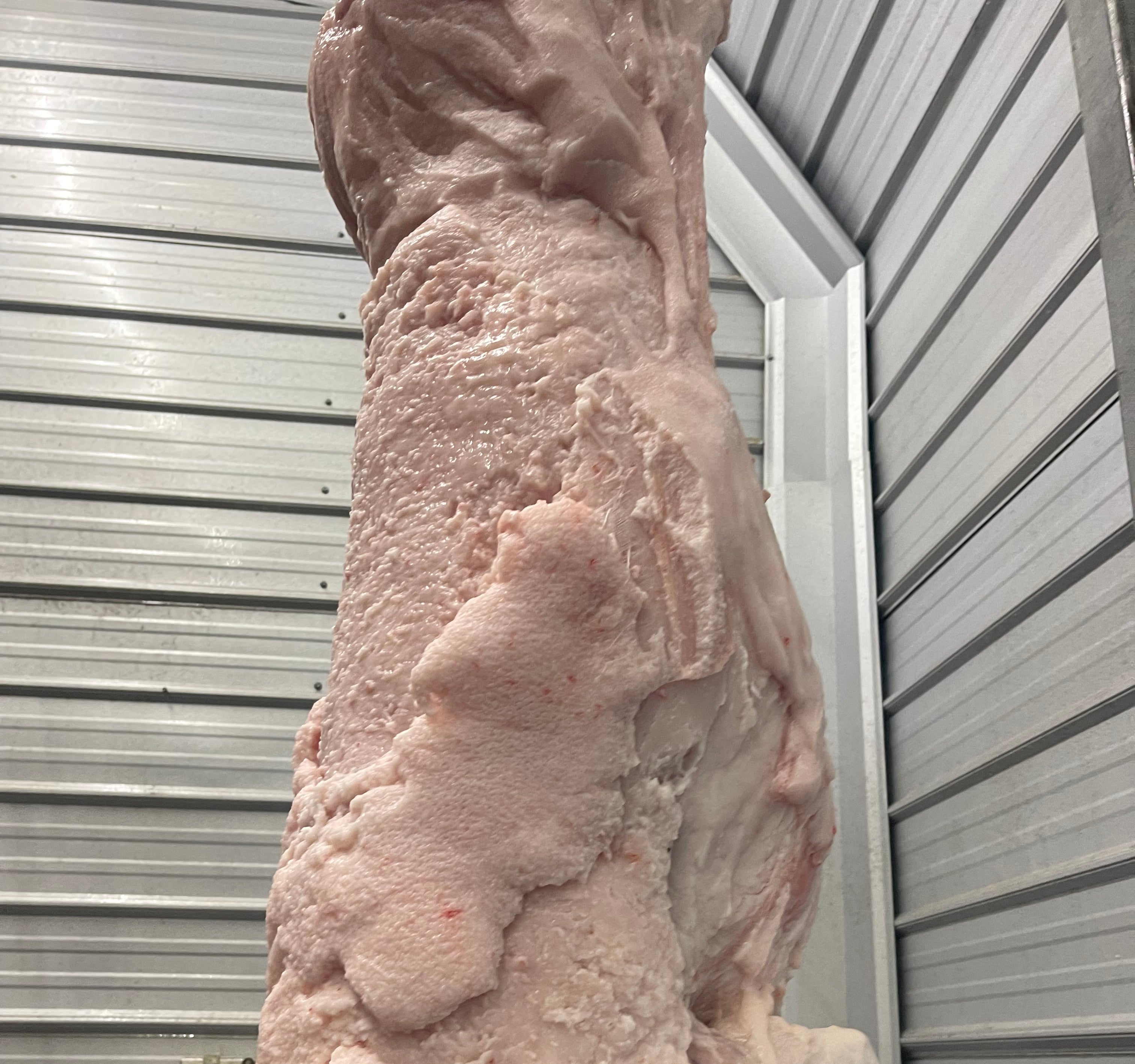 Georgia Beef Processing