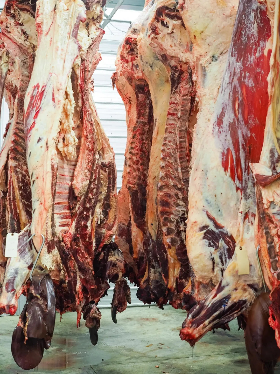 Georgia USDA meat processor