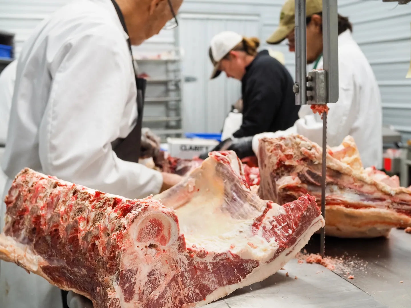 Georgia beef processor photo
